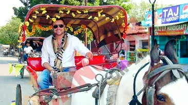 Catalin Botezatu a mangaiat o cobra