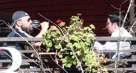 Galerie foto - poza 4