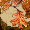 Prognoza meteo azi, 4 septembrie 2026. Toamna mai așteaptă! Sudul țării intră într-un nou episod de vreme fierbinte, cu temperaturi de vacanță