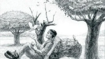 Iluzia optică a zilei | Găseşte calul ascuns în această imagine, în 15 secunde. Doar 2% dintre oameni reuşesc