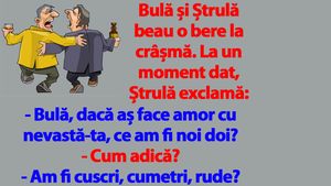 BANC | "Bulă, dacă aș face amor cu nevastă-ta, ce am fi noi doi?"