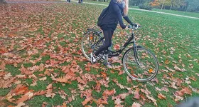 Galerie foto - poza 2