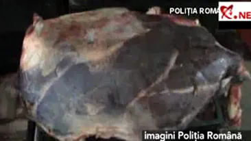 VIDEO O tona jumatate de carne stricata pusa in vanzare, in Ploiesti