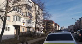 Galerie foto - poza 3