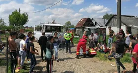 Galerie foto - poza 2