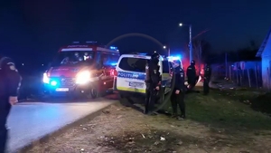 Polițiști și jandarmi, atacați cu drujba de un grup de romi, în Satu mare! Zeci de persoane au fost rănite / FOTO
