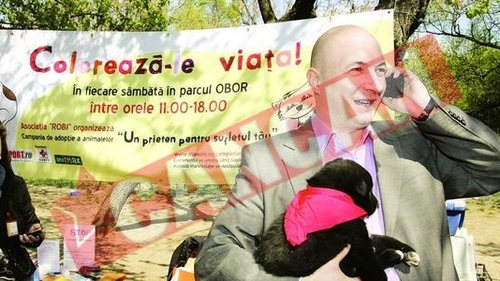 Codrin Stefanescu a primit un soarece mort