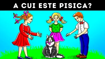 Test de inteligență | Cine este stăpânul pisicii din imagine? Ai fix 10 secunde să ghicești