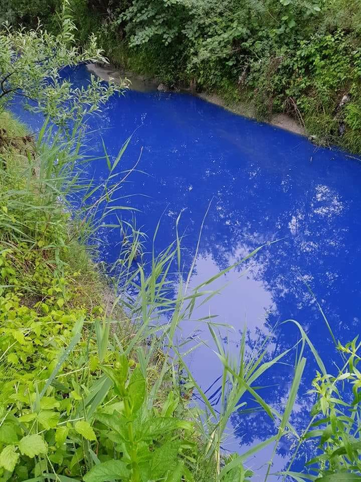 Râul arată de parcă ar fi de cerneală
