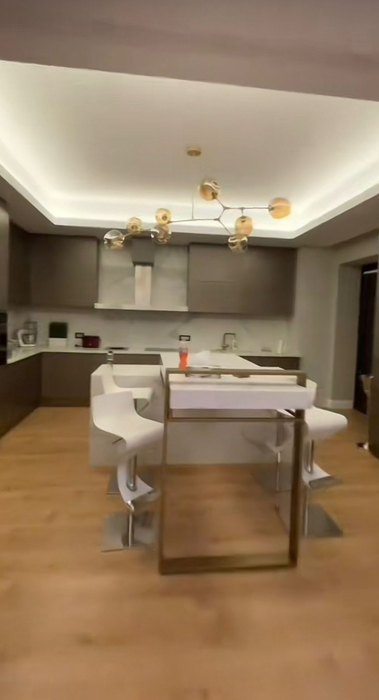 Cum arată casa lui Sebastian Dobrincu. Sursă foto: Captură TikTok
