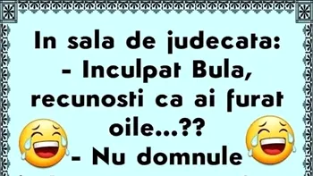 BANC | „Inculpat Bulă, recunoști că ai furat oile?”