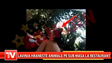 Lavinia hraneste animalele pe sub masa in restaurant