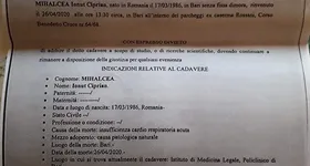 Galerie foto - poza 2