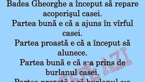 BANC | Badea Gheorghe a început să repare acoperișul casei. Partea bună e că a ajuns în vârful casei. Partea rea e că a început să alunece