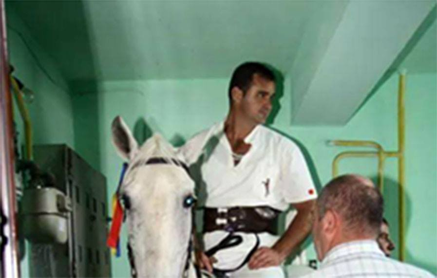 Imagini incredibile! A intrat într-un bloc călare pe un cal ca să își ceară mireasa de la părinți: „Un cavaler la pețit”