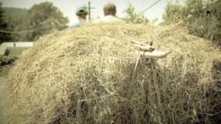 A cazut in cap de la trei metri, de pe fanul din caruta! Un barbat din Vaslui e in stare grava la spital!
