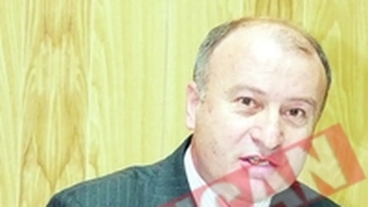 Lica, show la cazinou