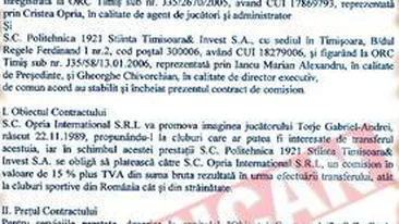 Timisoara e data in judecata pentru 300.000 de euro