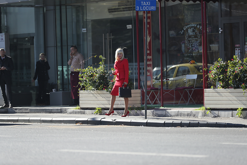 Elena Udrea aşteaptă o maşină, care să vină să o ia de la local