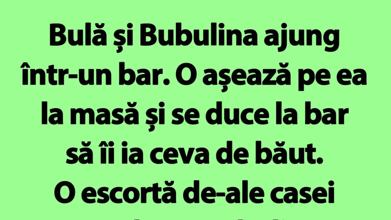 Bancul de marți | Bulă și Bubulina ajung într-un bar. O așează pe ea la masă și se duce la bar să îi ia ceva de băut