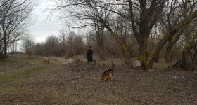 Galerie foto - poza 2