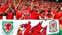 Meci de totul sau nimic pe Cardiff City Stadium între Ţara Galilor şi Irlanda!