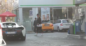 Galerie foto - poza 3