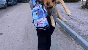 Povestea Alisei a făcut înconjurul lumii! Refugiata din Ucraina şi-a cărat câinele în spate 17 kilometri