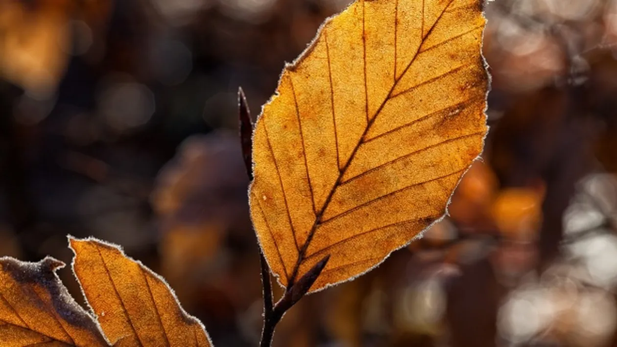 Meteo 26 septembrie. Prima brumă din această toamnă. Temperaturile scad