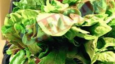 Fructe si legume care trebuie consumate zilnic