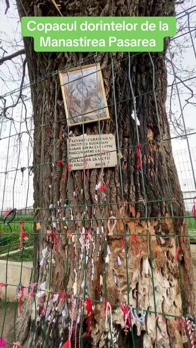 Sursa foto: capturi TikTok