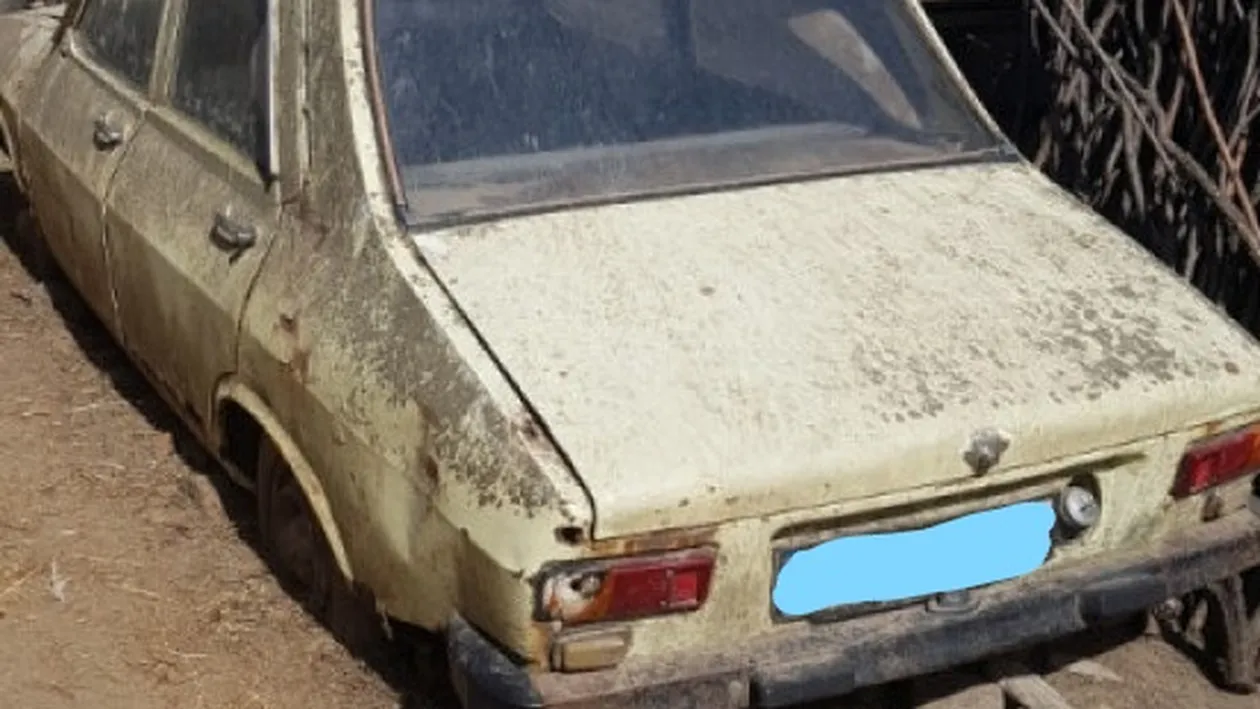 Un buzoian avea o Dacie 1300 pe care nu o mai conducea de mulți ani. Într-o zi, verificând cutia poștală, a avut un șoc: ”Stăteau găinile pe ea, cum se poate așa ceva?”