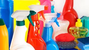 Obiectul din casă care are cei mai mulți microbi. Conține de 200.000 de ori mai multe bacterii decât un capac de toaletă