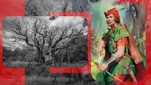 Un simbol al Marii Britanii s-a stins. Copacul în care s-ar fi ascuns Robin Hood s-a uscat de tot, după 12 secole