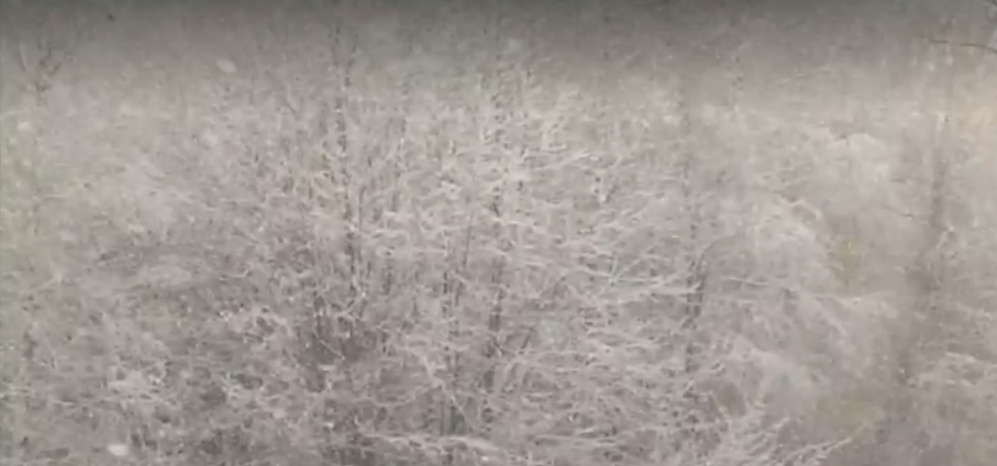A nins puternic la munte /Foto: Captură video Pro TV