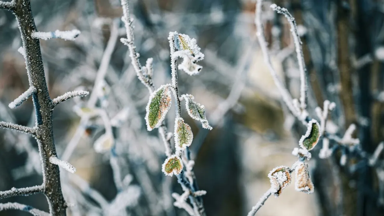 Prognoza meteo azi, 18 martie 2026. Brumă în Transilvania: temperaturile scad sub zero în depresiunile intramontane