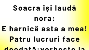 BANC | Soacra își laudă nora: "4 lucruri face deodată!"