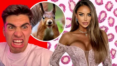 Am găsit „animalul spiritual” al fiecărei vedete. Și culmea li se potrivește PERFECT! Bisoi, veverița hiperactivă sau Bianca, leopardul roz cu paiete | EXCLUSIV