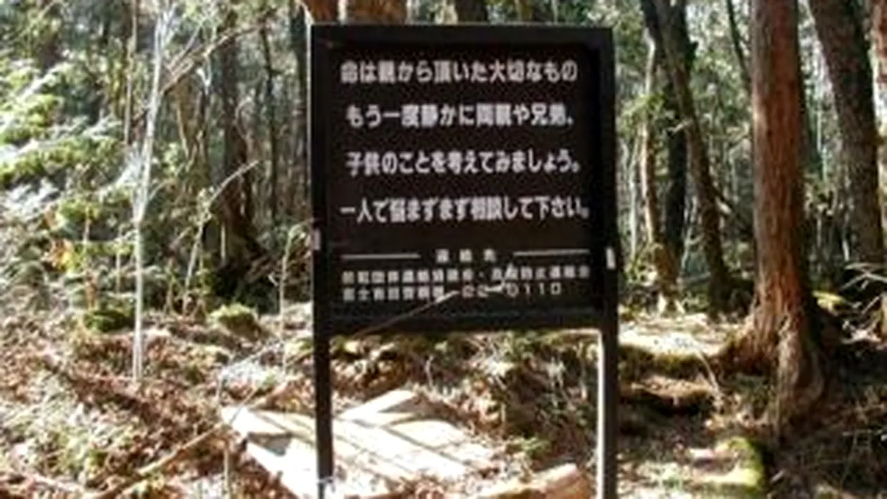 FOTO SOCANT! Aokigahara, Padurea spanzuratilor in varianta japoneza