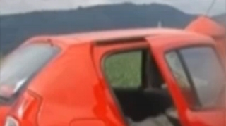 VIDEO Accident terifiant pe DN1! Un cal a trecut printr-un parbriz, iar o femeie a ramas prinsa sub lesul acestuia
