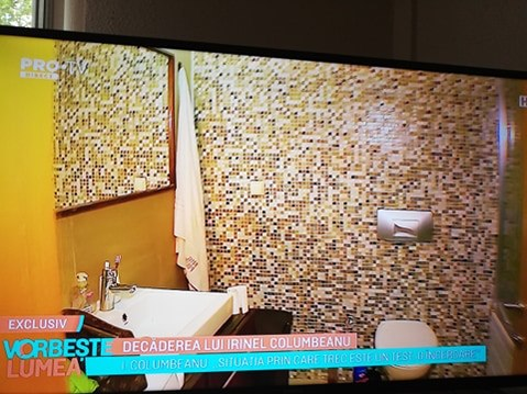 Acasă la Irinel Columbeanu: ”Mă descurc!” Baia de la Izvorani, cât apartamentul cu două camere