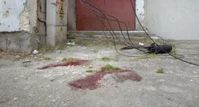 Galerie foto - poza 3