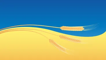 Se întâmplă astăzi, 16 aprilie! Ucraina restricționează exportul de cereale și semințe către România