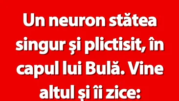 BANC | Neuronul lui Bulă