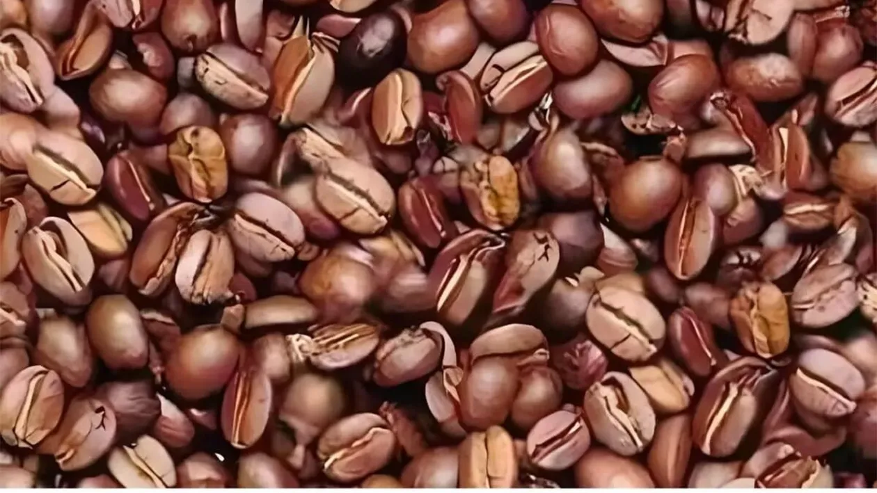 Iluzie optică virală | Ești un geniu dacă găsești bărbatul ascuns în această imagine, în maximum 11 secunde