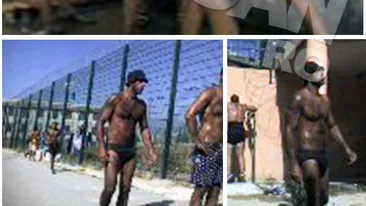 Cancan.ro a patruns in SUBTERANELE unui transport de 700 kg de cocaina! Sotul unei vedete, plasat in umbra intregii povesti