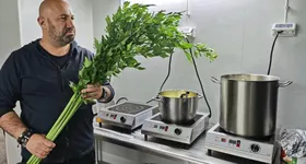 Galerie foto - poza 4