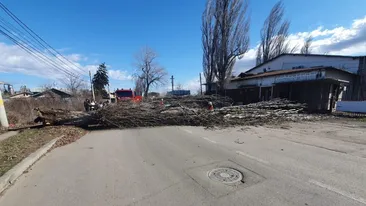 Bilanțul ultimei ore de cod roșu și galben de vânt în Argeș, Prahova, Giurgiu și Dâmbovița. Acoperișuri smulse, arbori scoși din rădăcini, TIR răsturnat - VIDEO