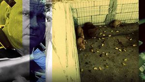Ce veste cruntă primește monstrul din Caracal în închisoare. Nu toate animalele salvate din “Casa Groazei” au avut o soartă fericită
