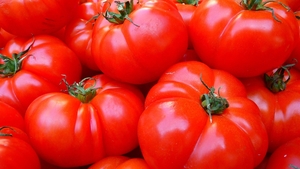 Supermarketul care va vinde doar roșii românești începând cu 19 iunie 2025. Vor fi livrate de 100 de producători din opt județe